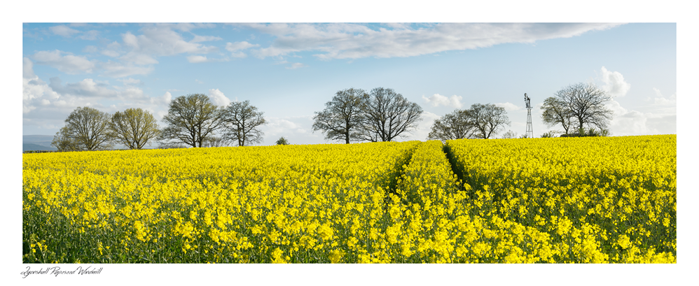 images from wales - Ian Nicholson Photography - Builth Wells